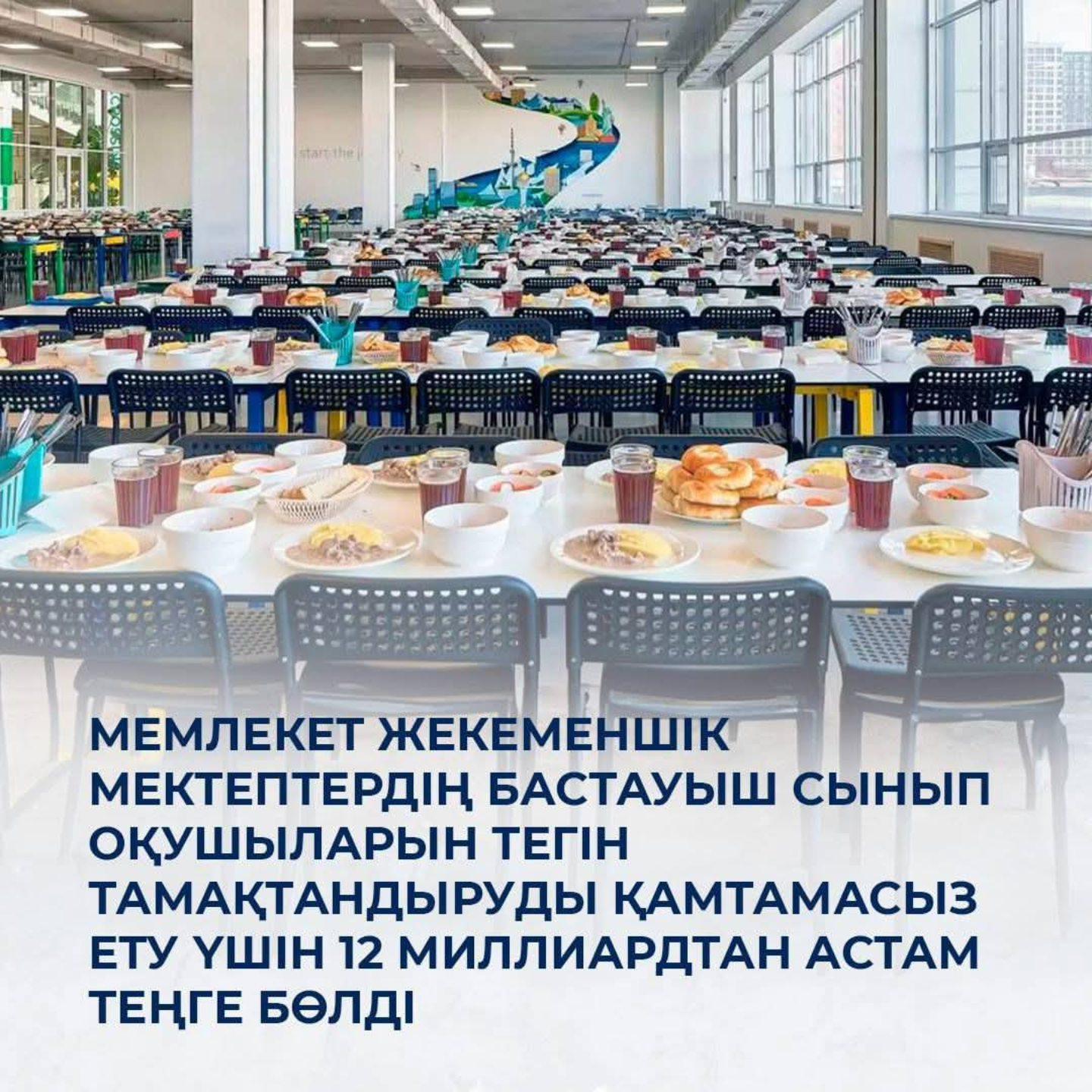 Мемлекет жекеменшік мектептердің бастауыш сынып оқушыларын тегін тамақтандыруды қамтамасыз ету үшін 12 миллиардтан астам теңге бөлді