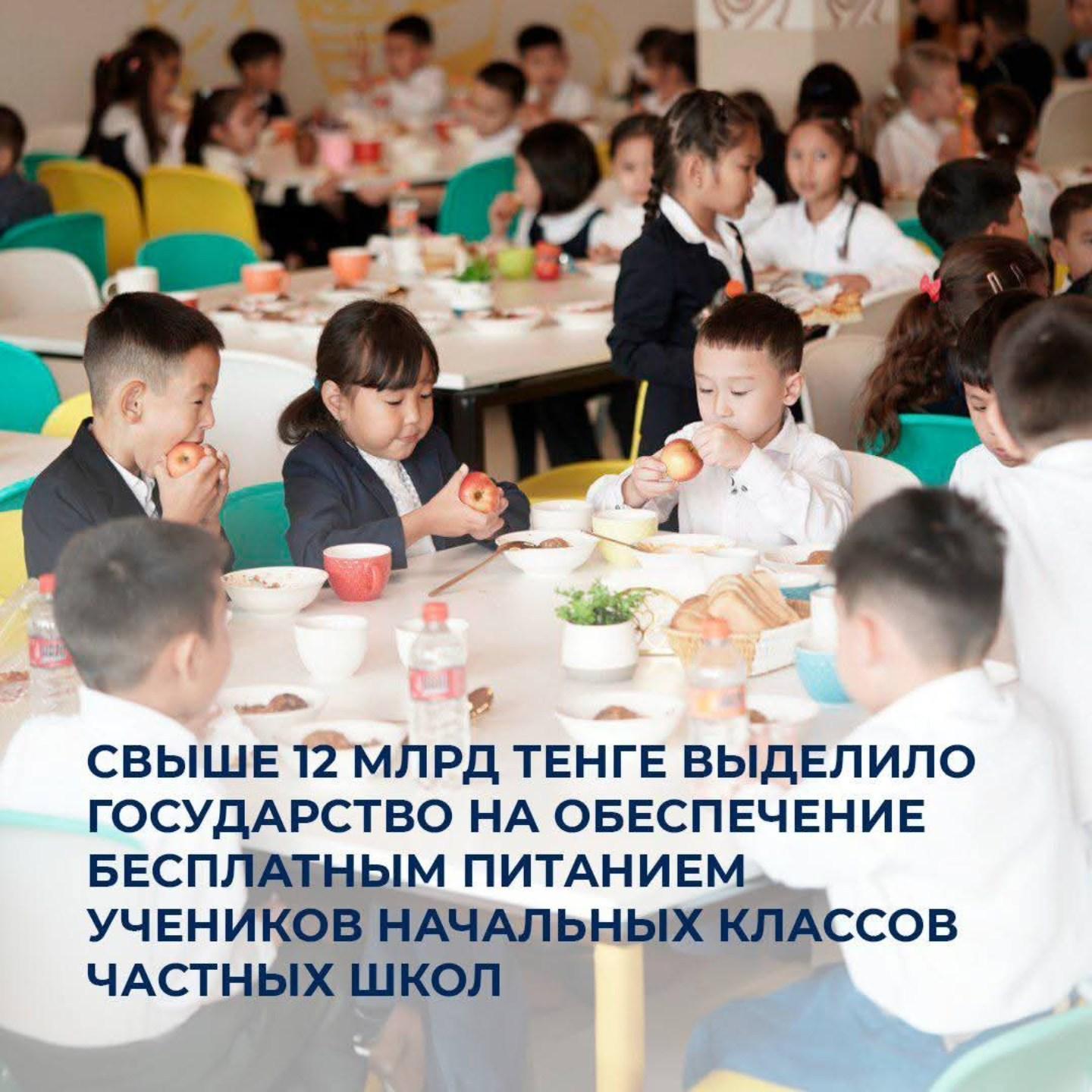 Свыше 12 млрд тенге выделило государство на обеспечение бесплатным питанием учеников начальных классов частных школ
