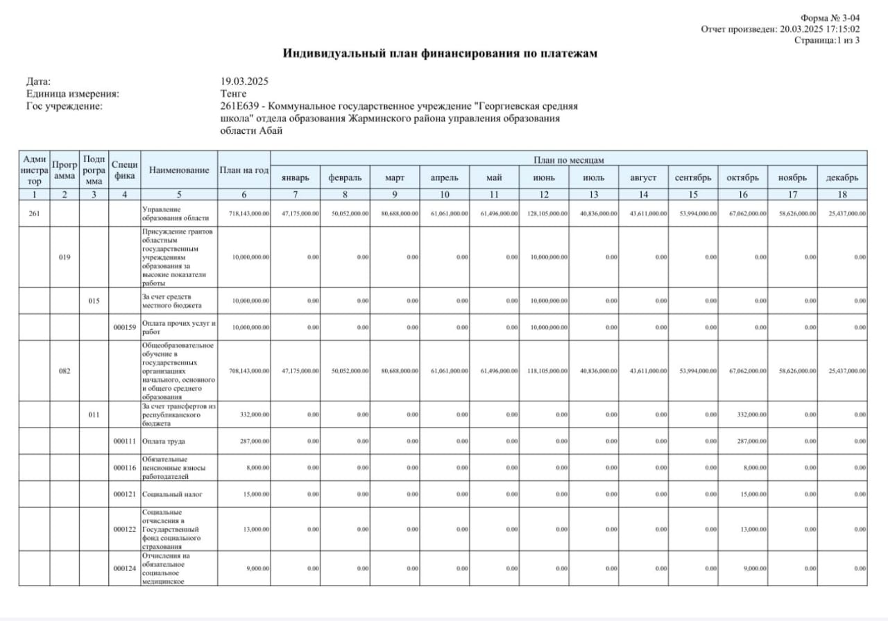 2025 жылға арналған бюджет